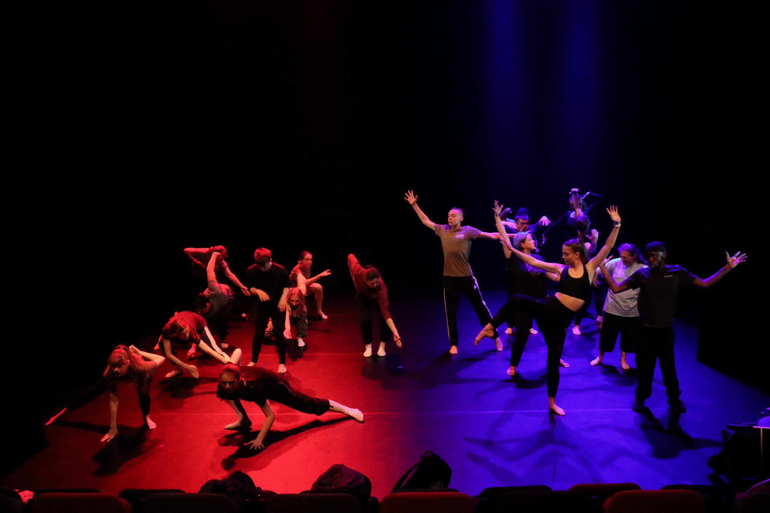 The entire company on stage, half are lit in red lighting and half in blue lighting holding various different positions and poses. 